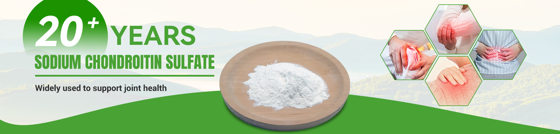 Chondroitin Sulfate Sodium, Collagen, Glucosamine, Shark Cartilage Powder, Promotion - HS Nutra Co.,Ltd.