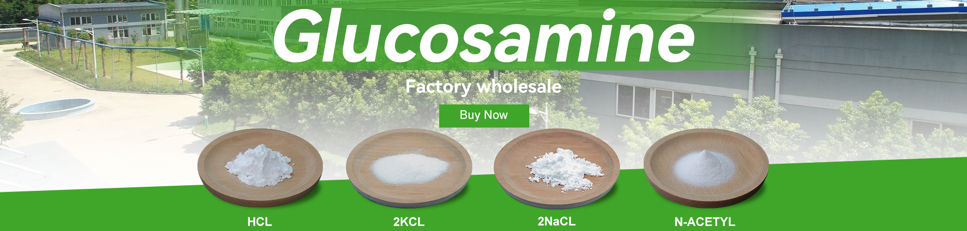 Chondroitin Sulfate Sodium, Collagen, Glucosamine, Shark Cartilage Powder, Promotion - HS Nutra Co.,Ltd.