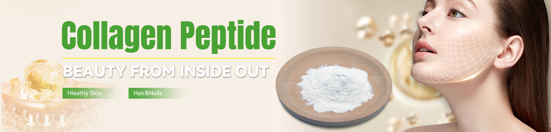 Chondroitin Sulfate Sodium, Collagen, Glucosamine, Shark Cartilage Powder, Promotion - HS Nutra Co.,Ltd.